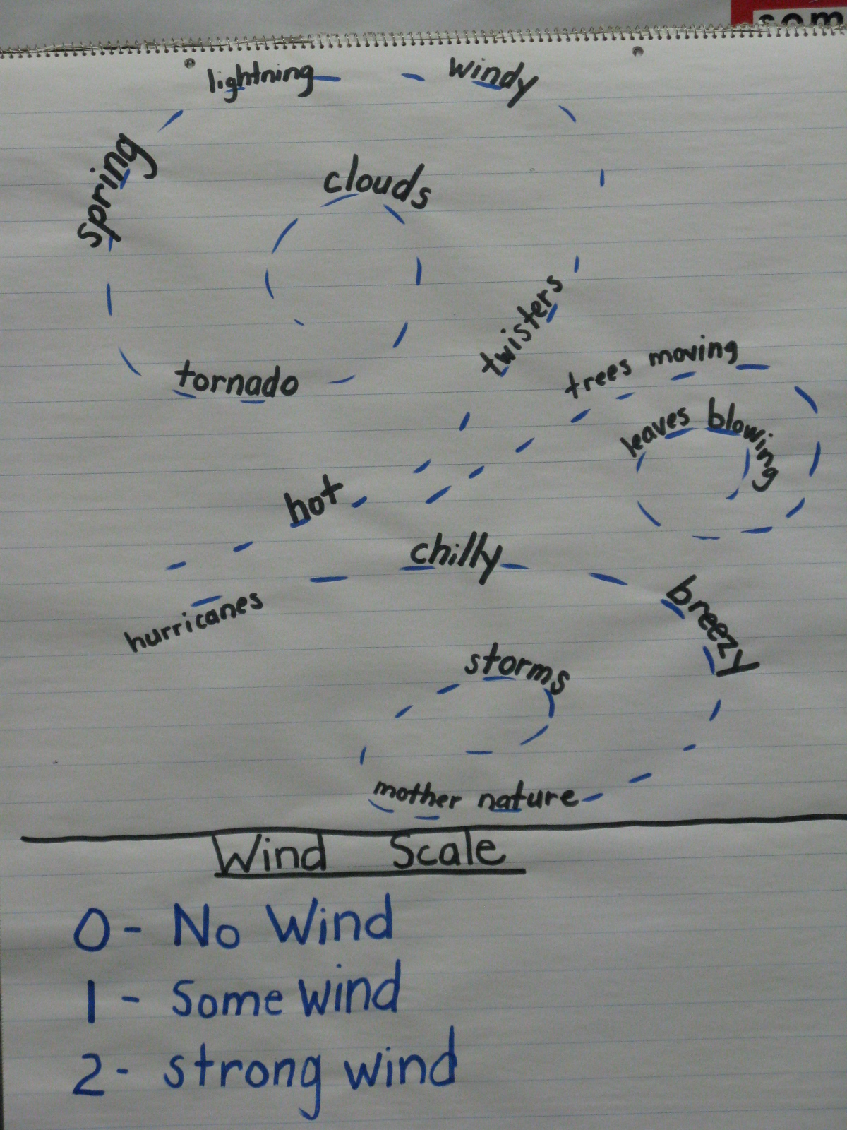 Only in First Grade: Wild About Weather