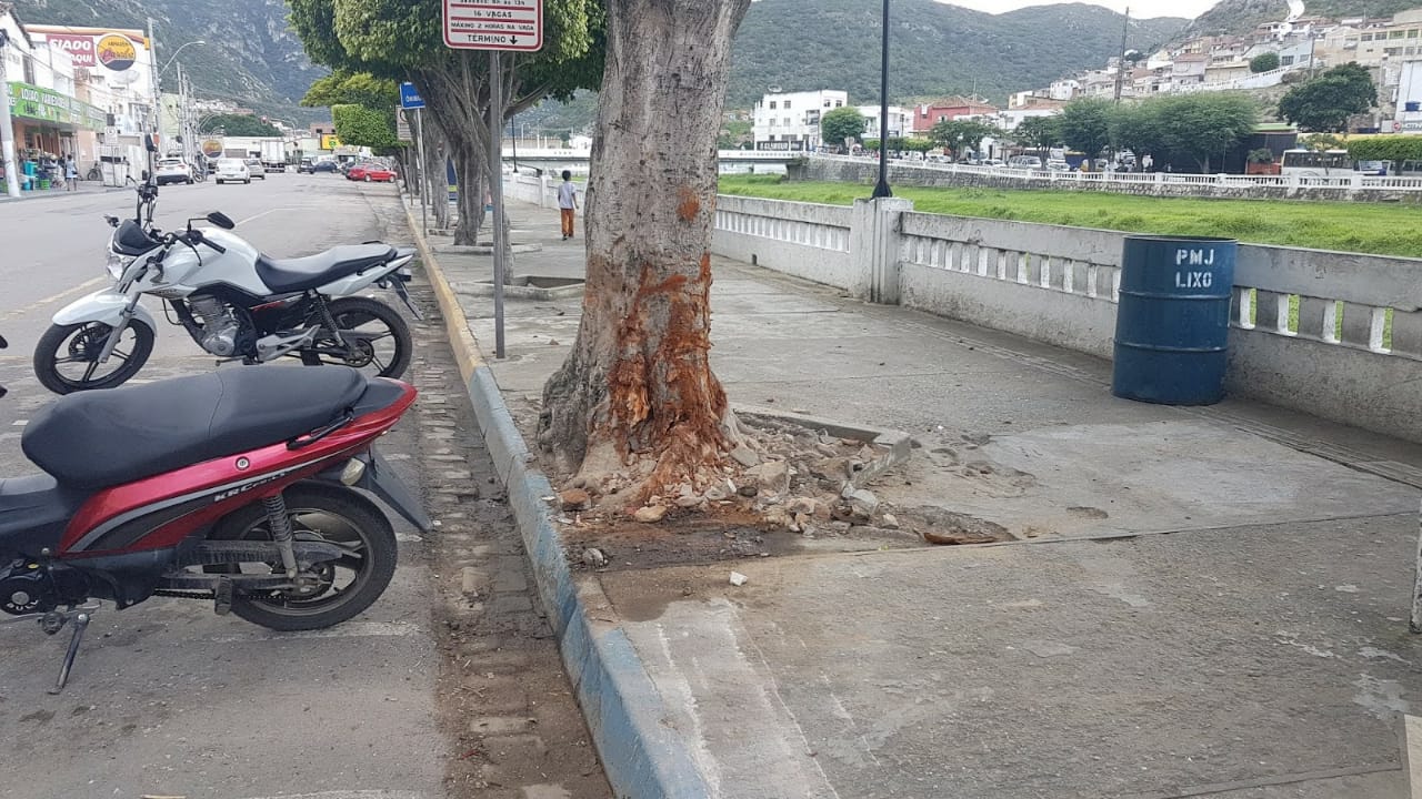 Veículo atinge duas árvores no centro de Jacobina; casal fica ferido
