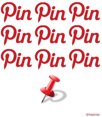 pin pin pin pinterest