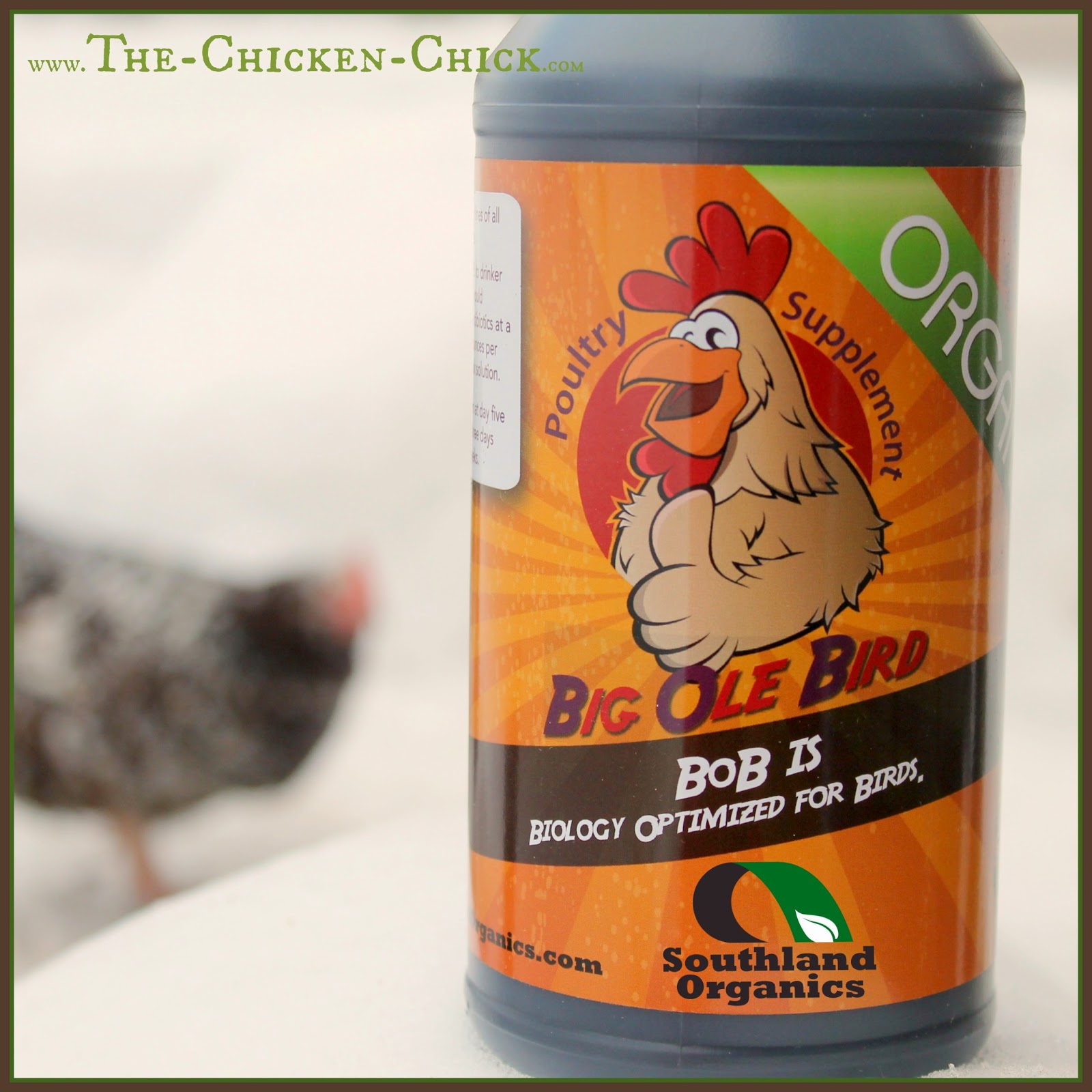 The Chicken Chick® Probiotics, A Natural Choice for Healthy Chickens