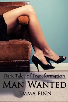 Read the Transformation Novel!