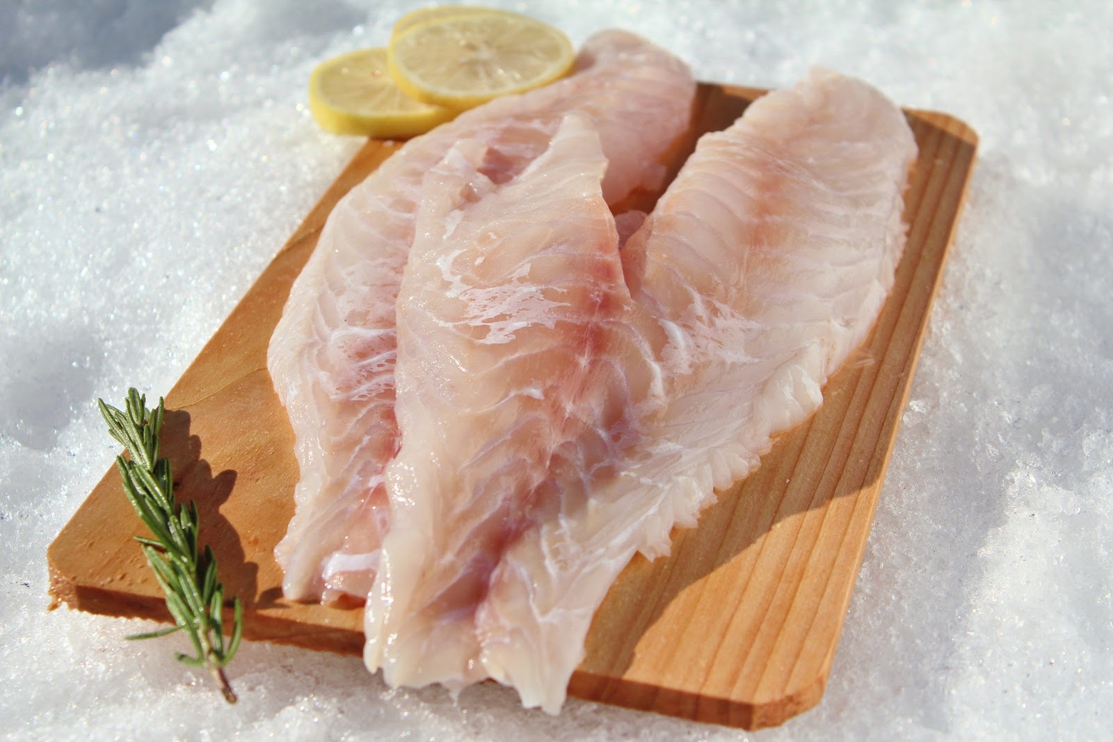 Grouper Fillet Supplier, Grouper Fish Manufacturers, Frozen Grouper