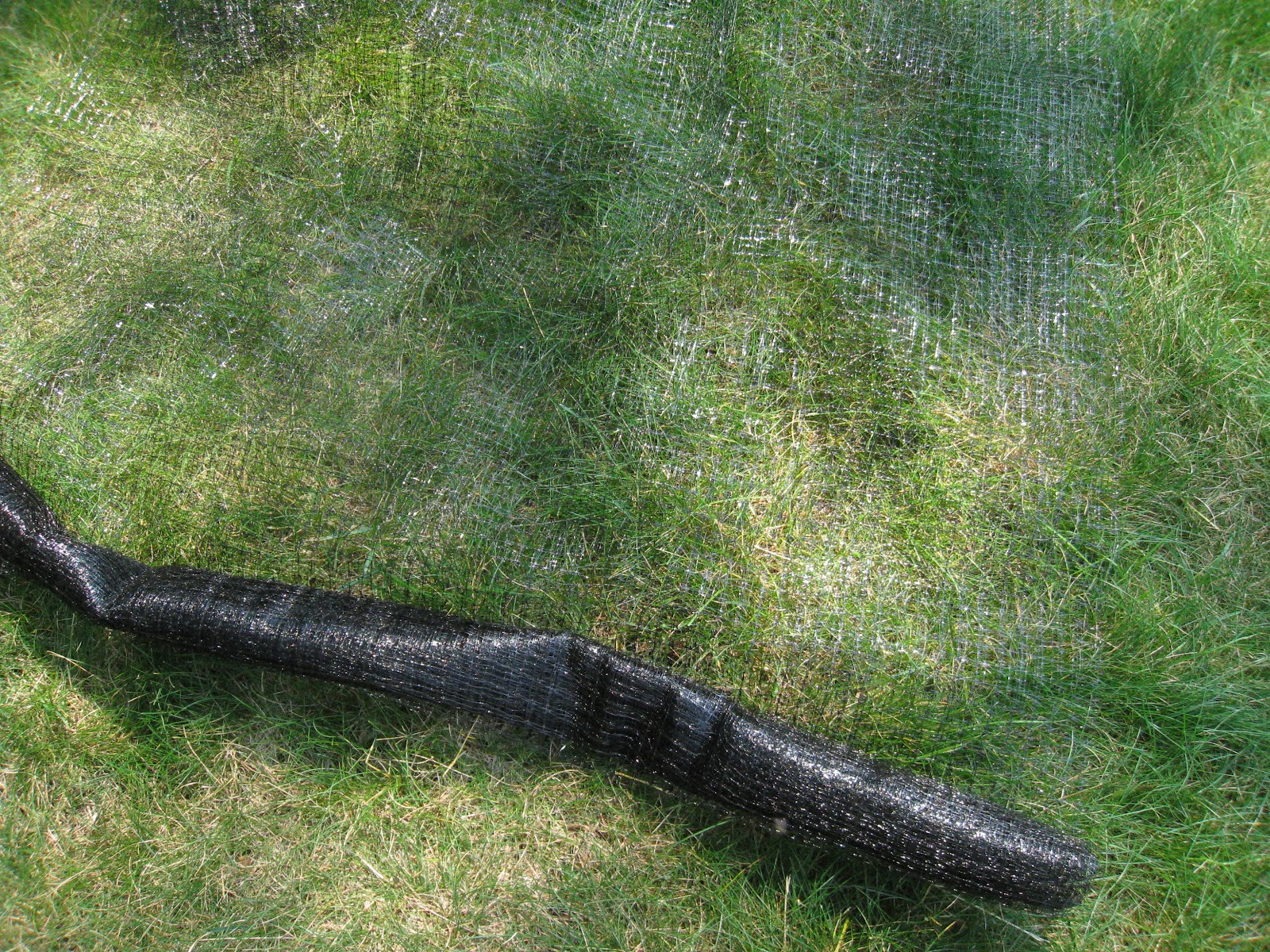 My "TypeA" DIY Projects Blueberry Bush Net