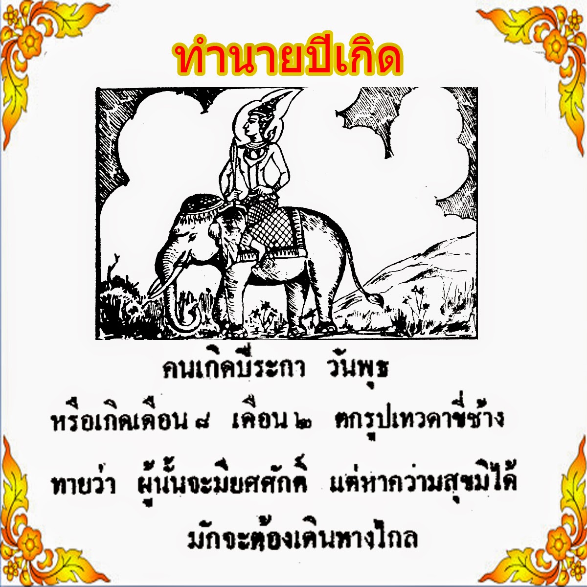 My Image 19