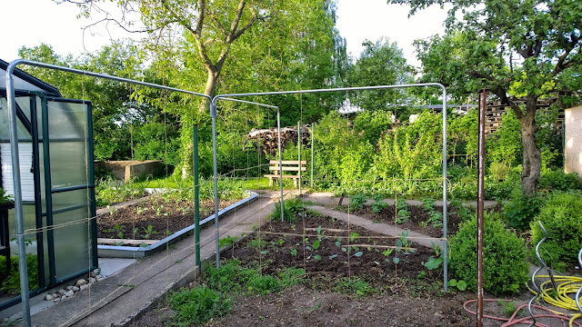 Landschaftspark Und Rhododendren Im Schlosspark Dennenlohe Achims