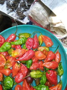 Bhoot Jholoke chillies. In Kohima market.