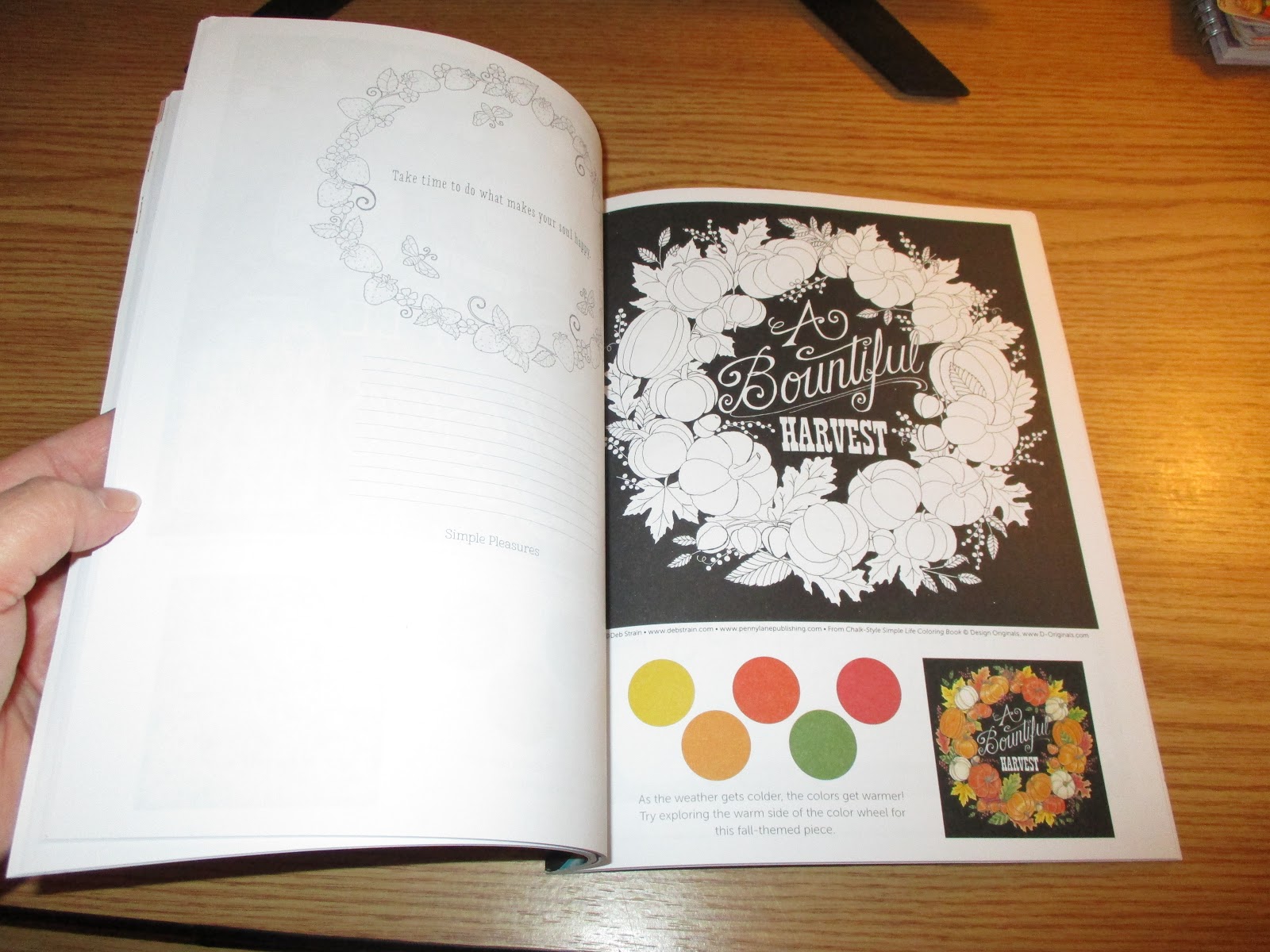 Missys Product Reviews : Chalk-Style Simple Life Coloring Book: Color
