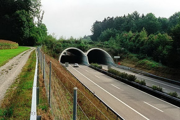 wildlife overpasses, green bridges, ecoducts