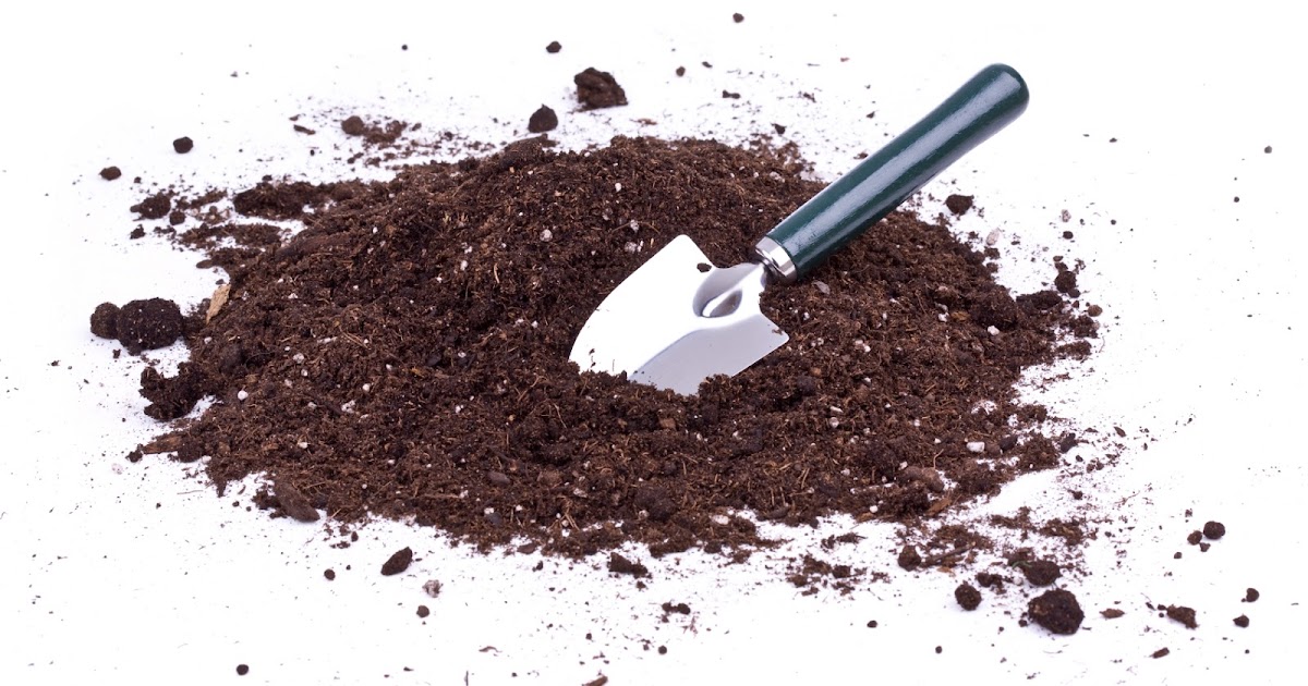 Waste-Away Group : Why Can’t I Put Dirt Into My Trash Cart or Dumpster? How Many Gallons In A Yard Of Dirt