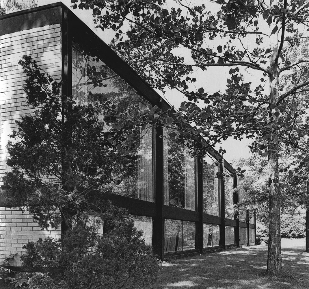 Paradise Backyard Crombie Taylor