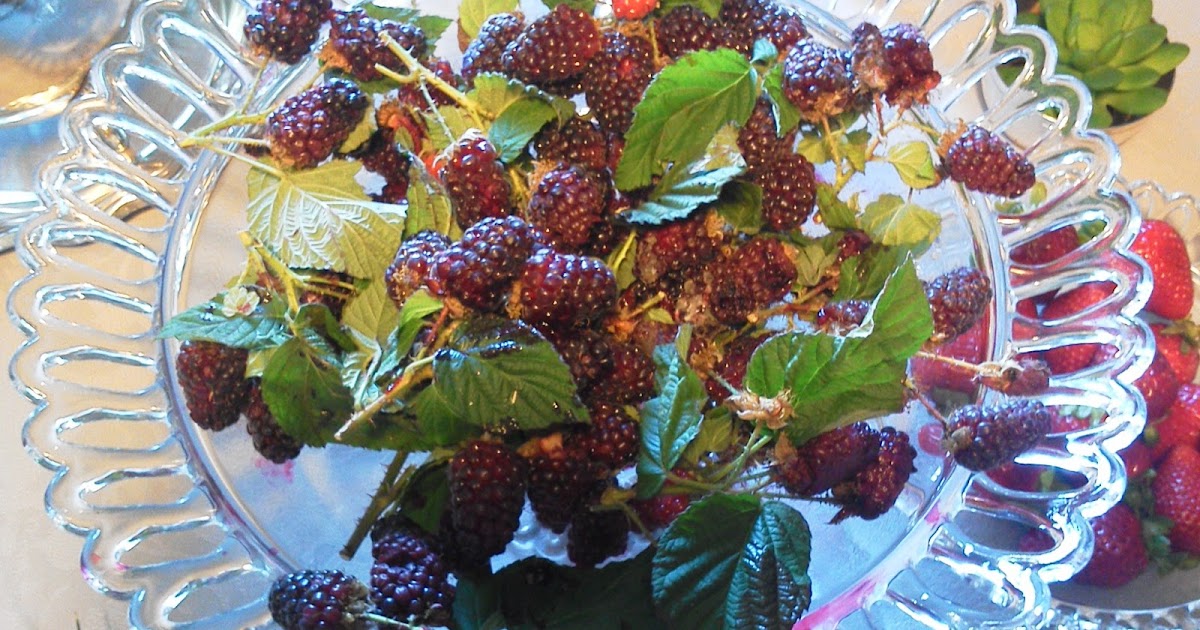 Frutos silvestres