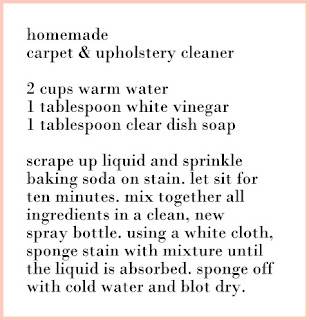 lizzy write: homemade cleaning