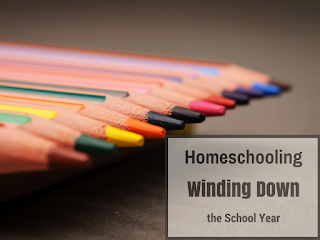 Homeschooling Winding Down the School Year