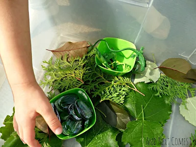 Sorting in the green sensory bin from And Next Comes L
