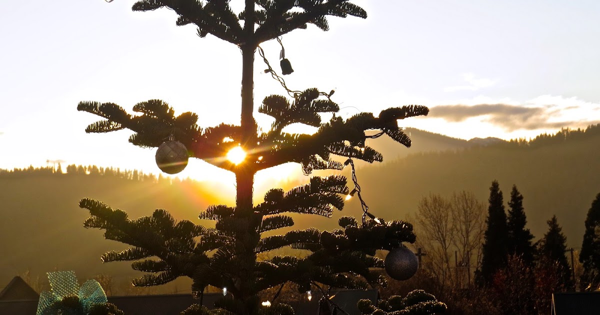 balance10: Orthodox Christmas morning across Russia