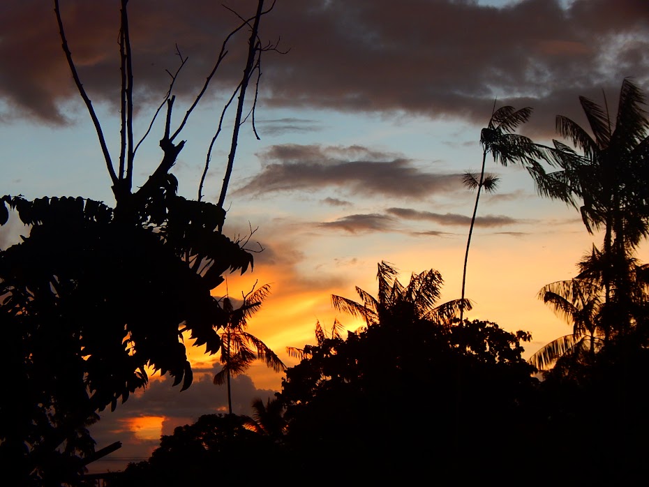 POR DE SOL NA AMAZONIA > FOTO DE NECA MACHADO