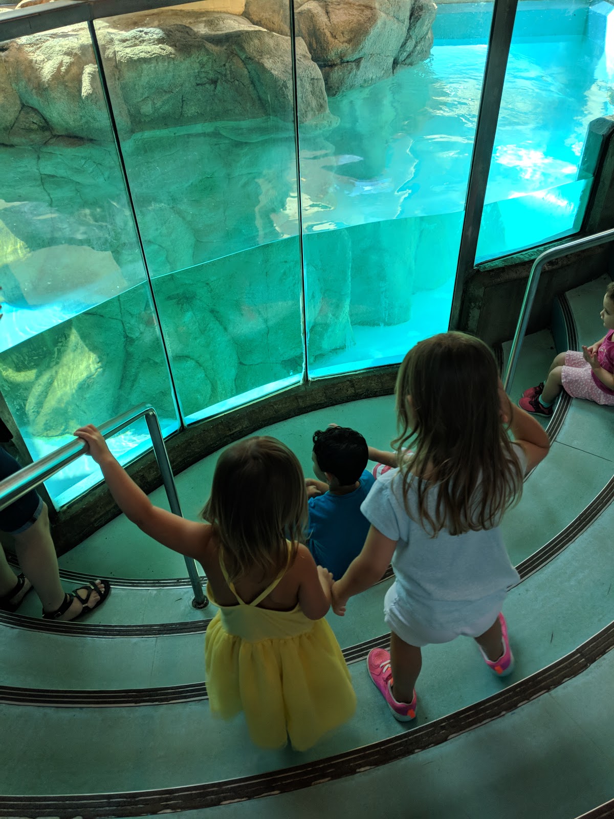 Maritime Aquarium Norwalk