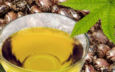 Το καστορέλαιο και οι ευεργετικές του ιδιότητες