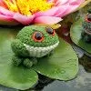 crochet frog pattern free crochet amigurumi frog patterns