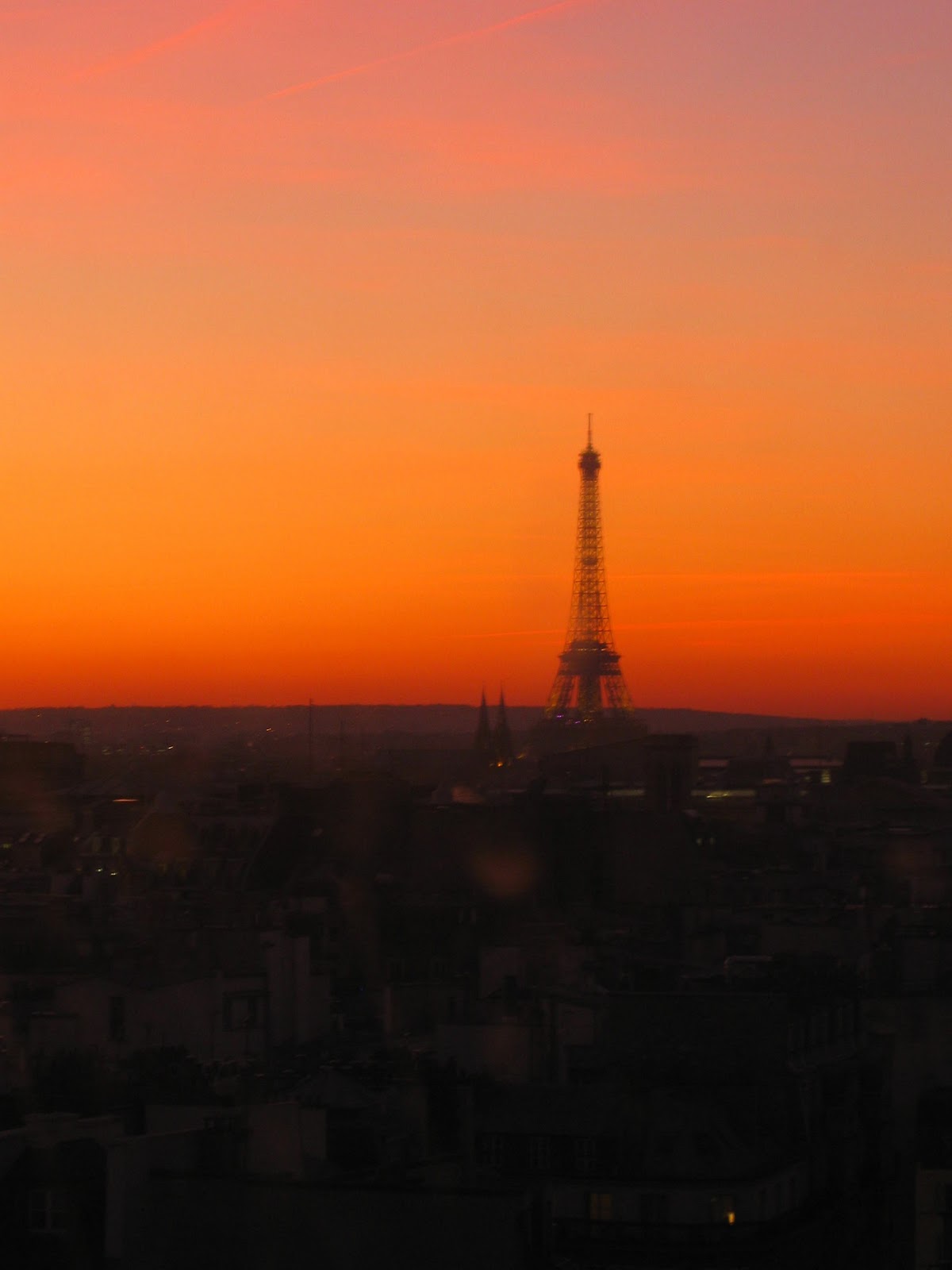 Arthur est un perroquet 35 Tage Paris Danser sa vie