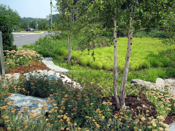 Grounded Design By Thomas Rainer Beyond The Border Part 2 Massing Matters