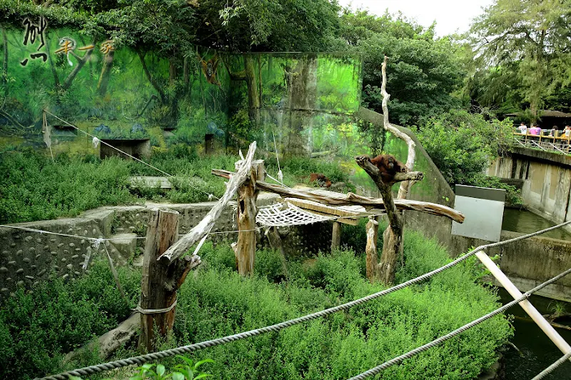 新竹親子遊|新竹市立動物園~有日本奈良賞鹿的Fu