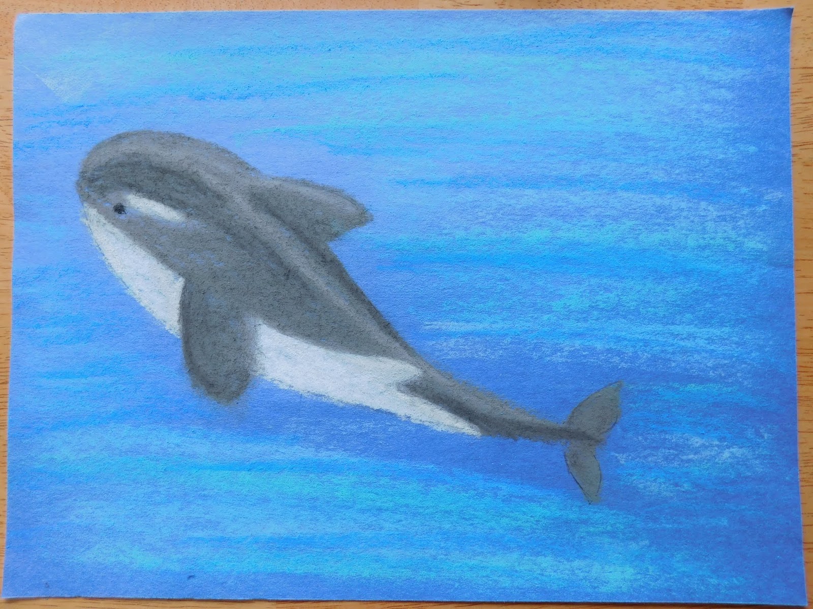 Chalk Pastel Orca Whales