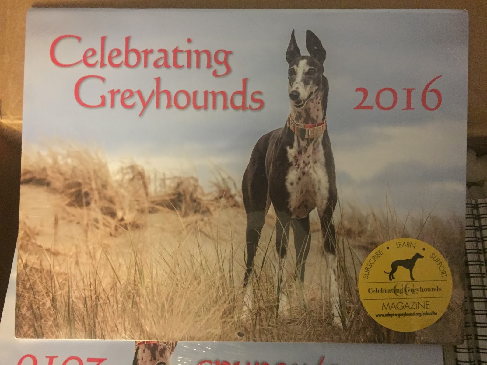 MoKan Greyhound Adoption The Celebrating Greyhounds Calendars are here!!!