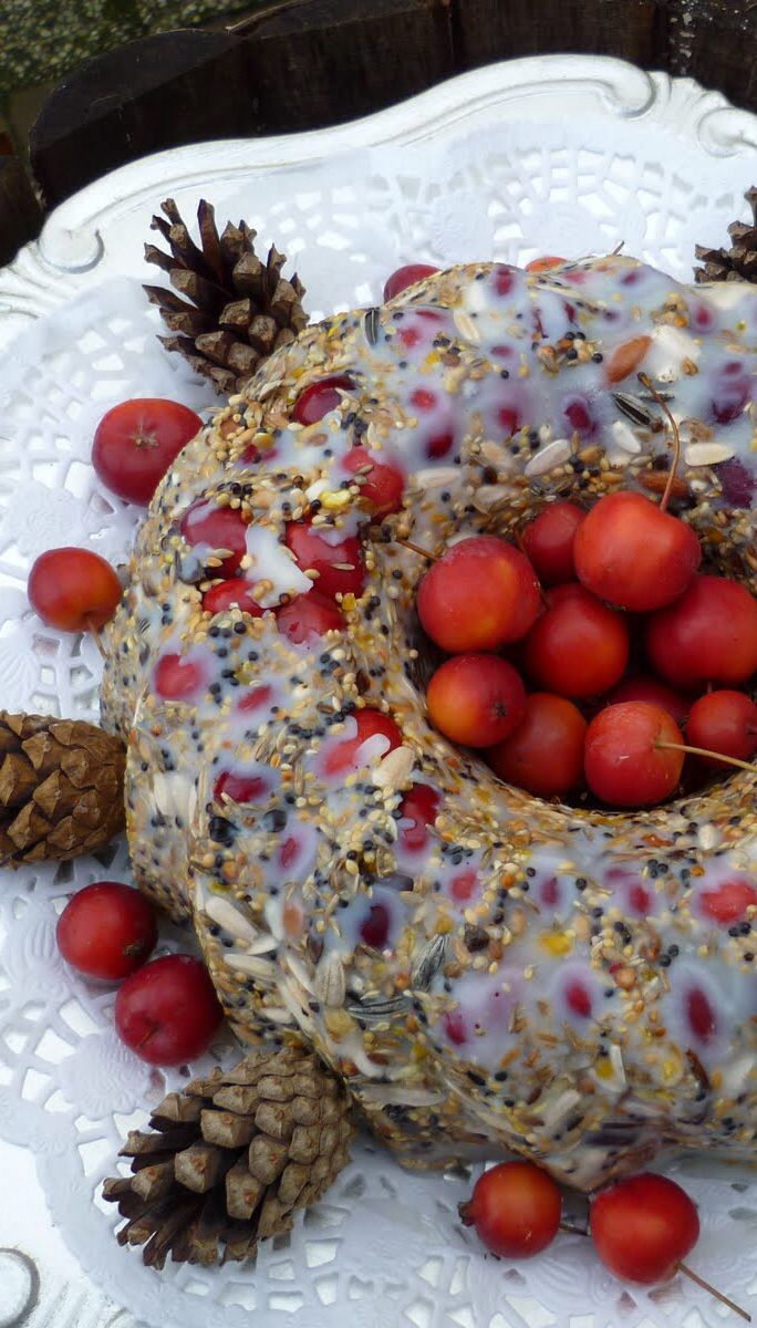 Bird In Everything Bird Seed Cake