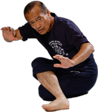 dan inosanto on silat tom furman fitness