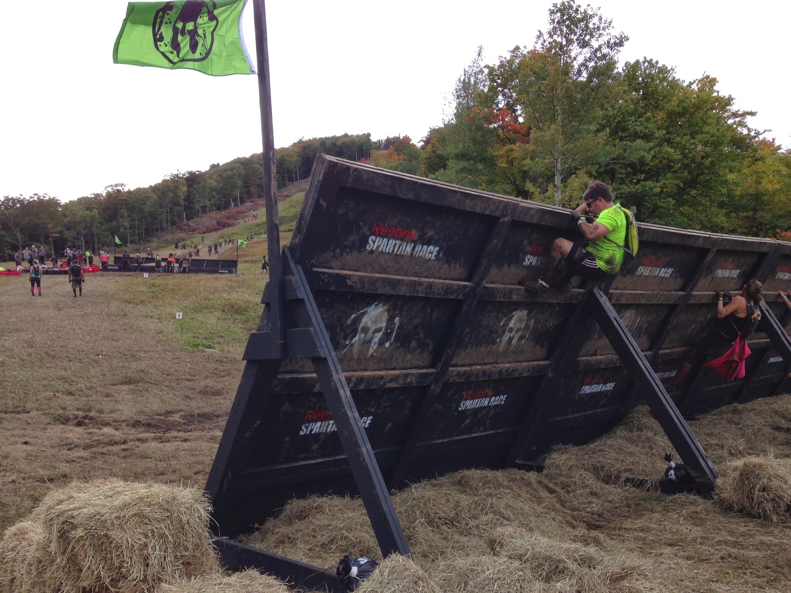 01bb3842db9f3ce1498042bb637a085aa4d3a1f5