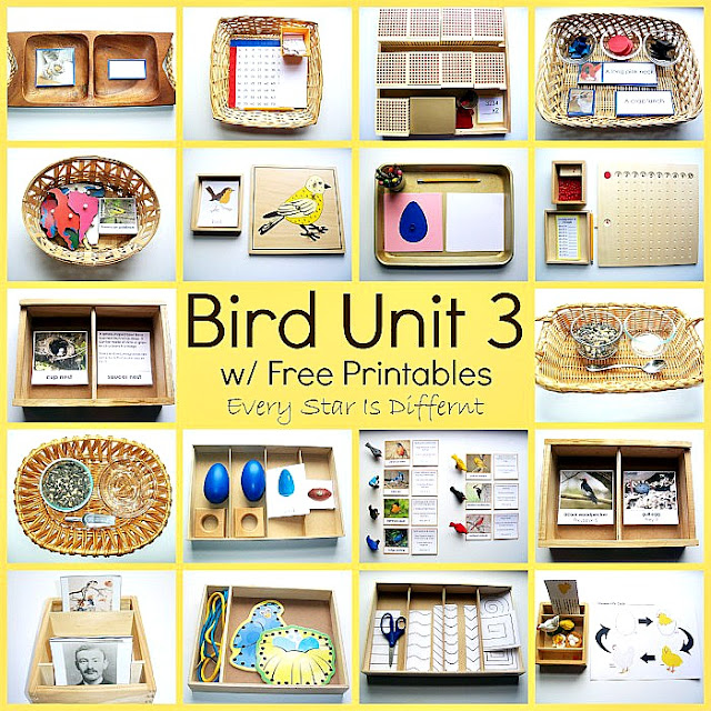 Montessori Bird Activities and Free Printables for Kids