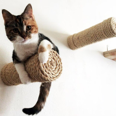 Cat Exercise Toy Food Dispencer Cat Exercise Toy Food Dispencer
