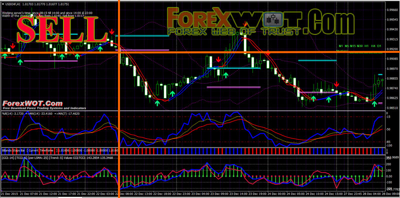 Forex exit guidr