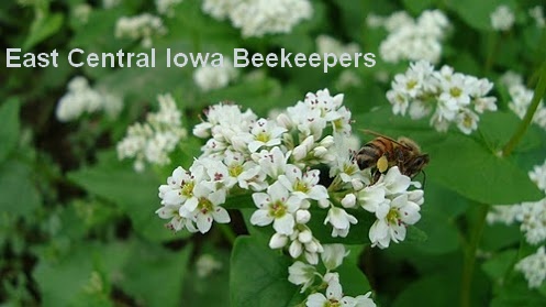 East Central Iowa Beekeepers