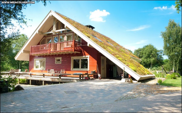 casa com grama no telhado
