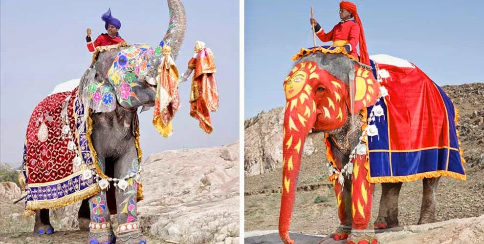 The Land of Melting Shadows Painted Elephant Parade
