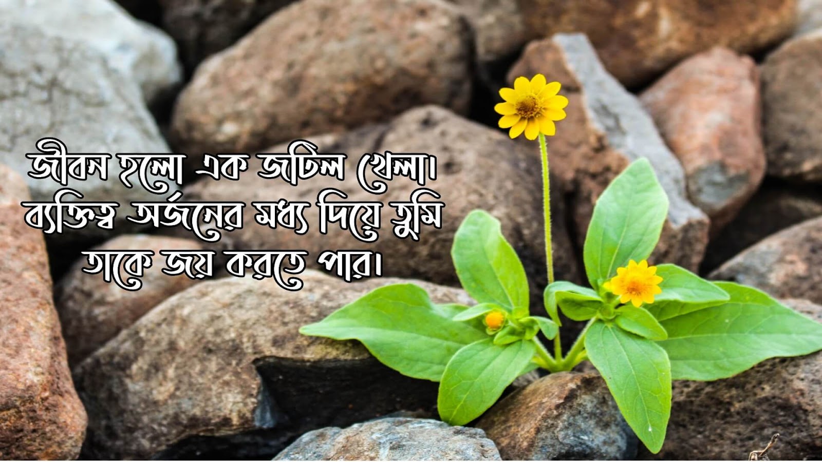 APJ Abdul Kalam Bani in Bengali APJ Abdul Kalam Bani in Bengali