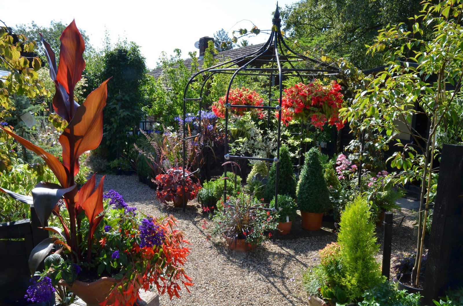 Beeches Nursery Nursery views