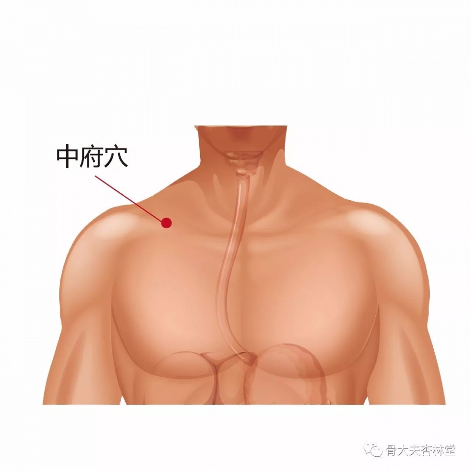 穴位經絡祛百病:中府穴治胸痛、肩背痛- 穴道經絡引導