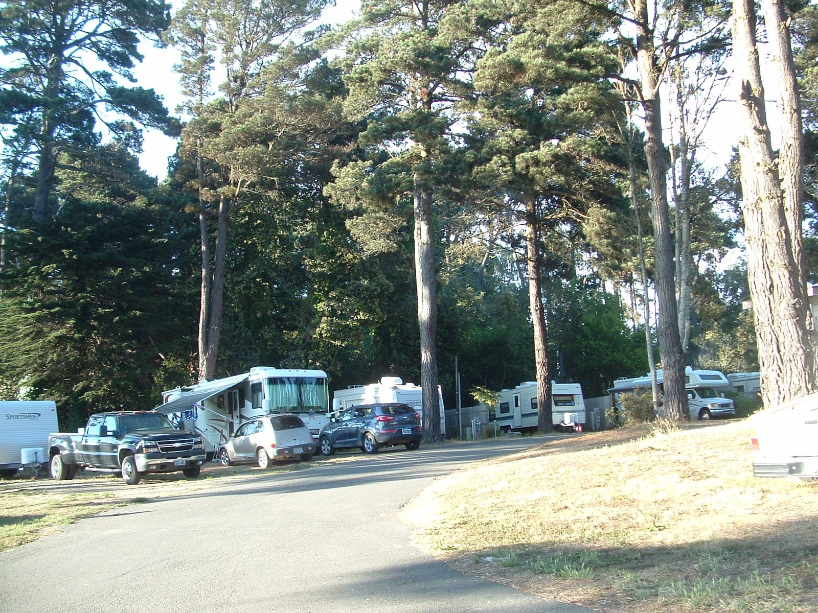 Hidden Pines RV Park Campground Fort Bragg California