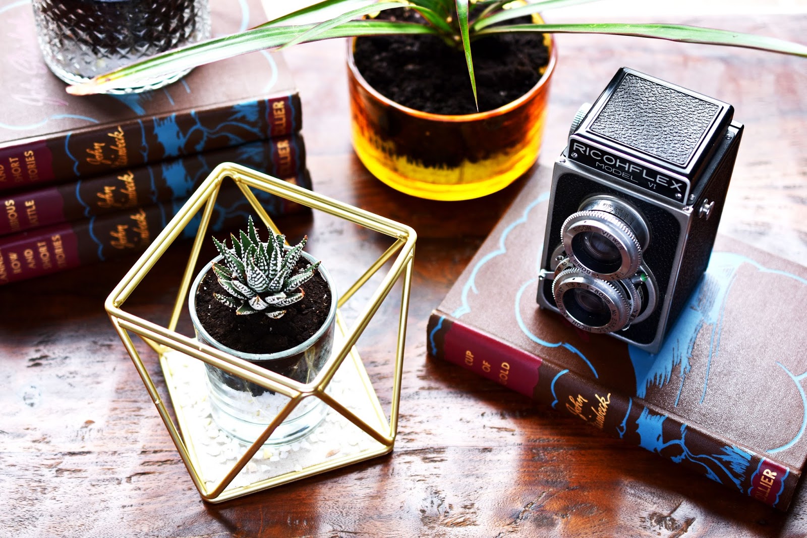 Woman in Real Life DIY Terrarium Made With a Candle Jar & A Jewelry