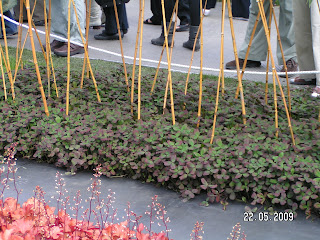 Gärtnertagebuch: Garten 1303: Ideen aus dem letzten Gespräch