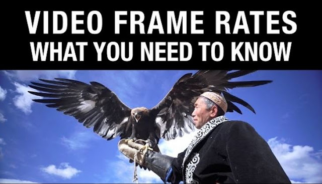 Video Frame Rates: What You Need to Know