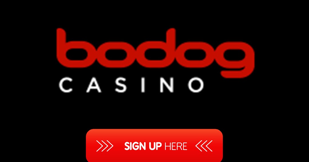 No deposit casino bonus codes No deposit casino bonus codes
