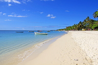 Mauritius'ta tropik sahil