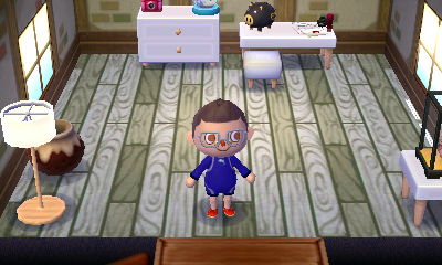 Animal Crossing New Leaf Day 15