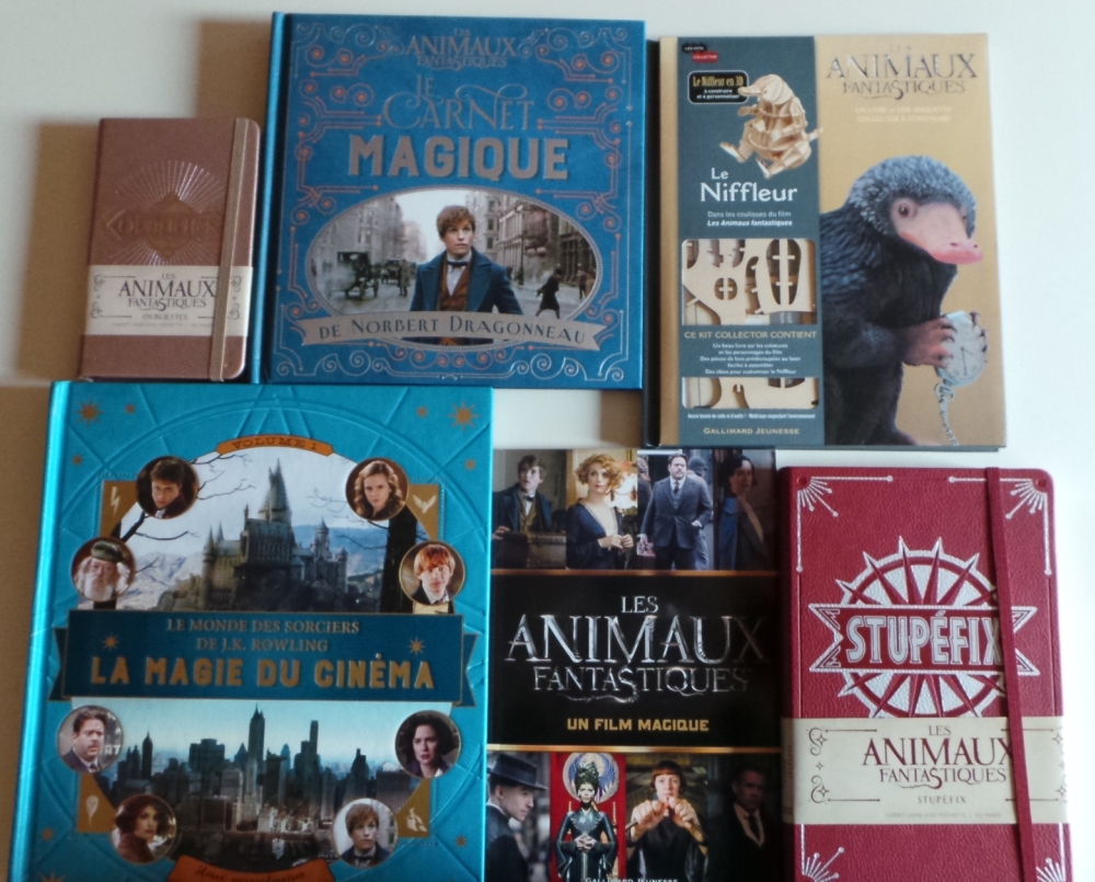 Idees Cadeaux Dans Le Monde Des Animaux Fantastiques Les Lectures De Mylene