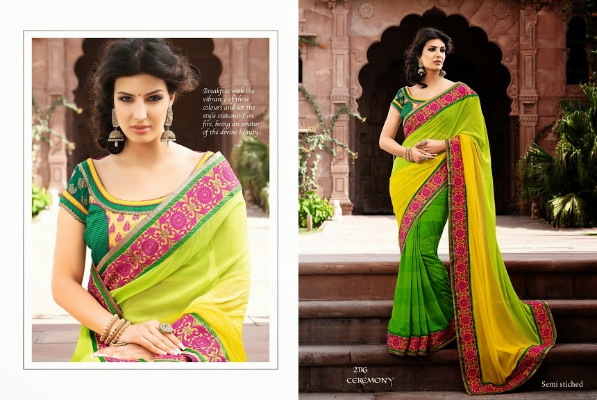 Thread Embroidered Sarees Designs 2014-2015 for Brides - Clothing9Store ...