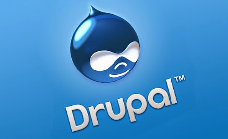 Best ASP.NET Hosting in UK with Fast Drupal 